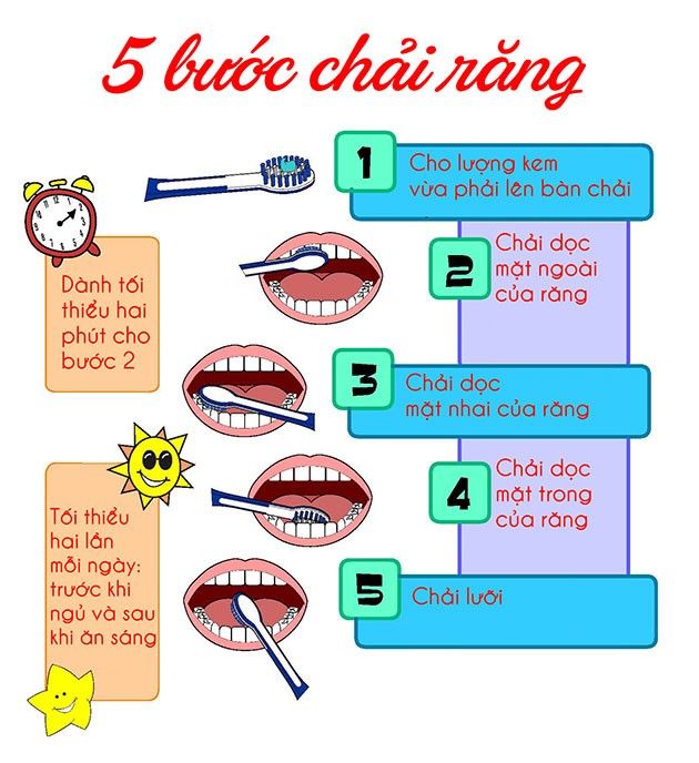 Hướng Dẫn Vệ Sinh Răng Miệng Đúng Cách